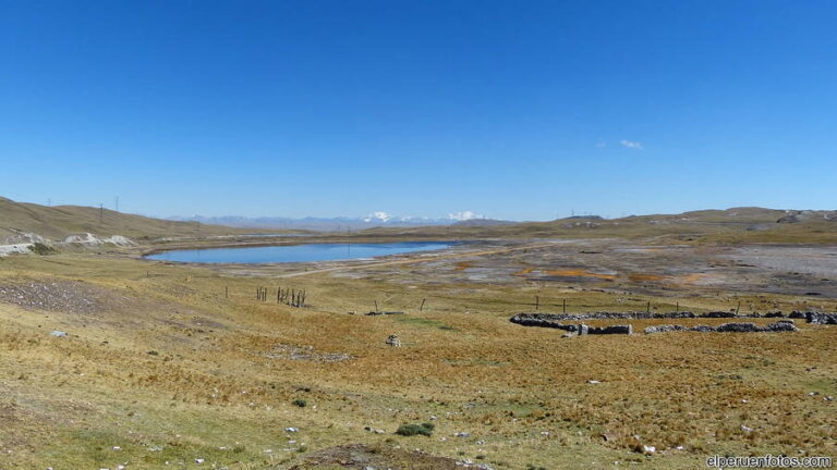 pampas de junin 004